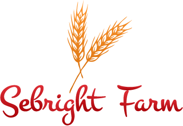 Sebright Farm